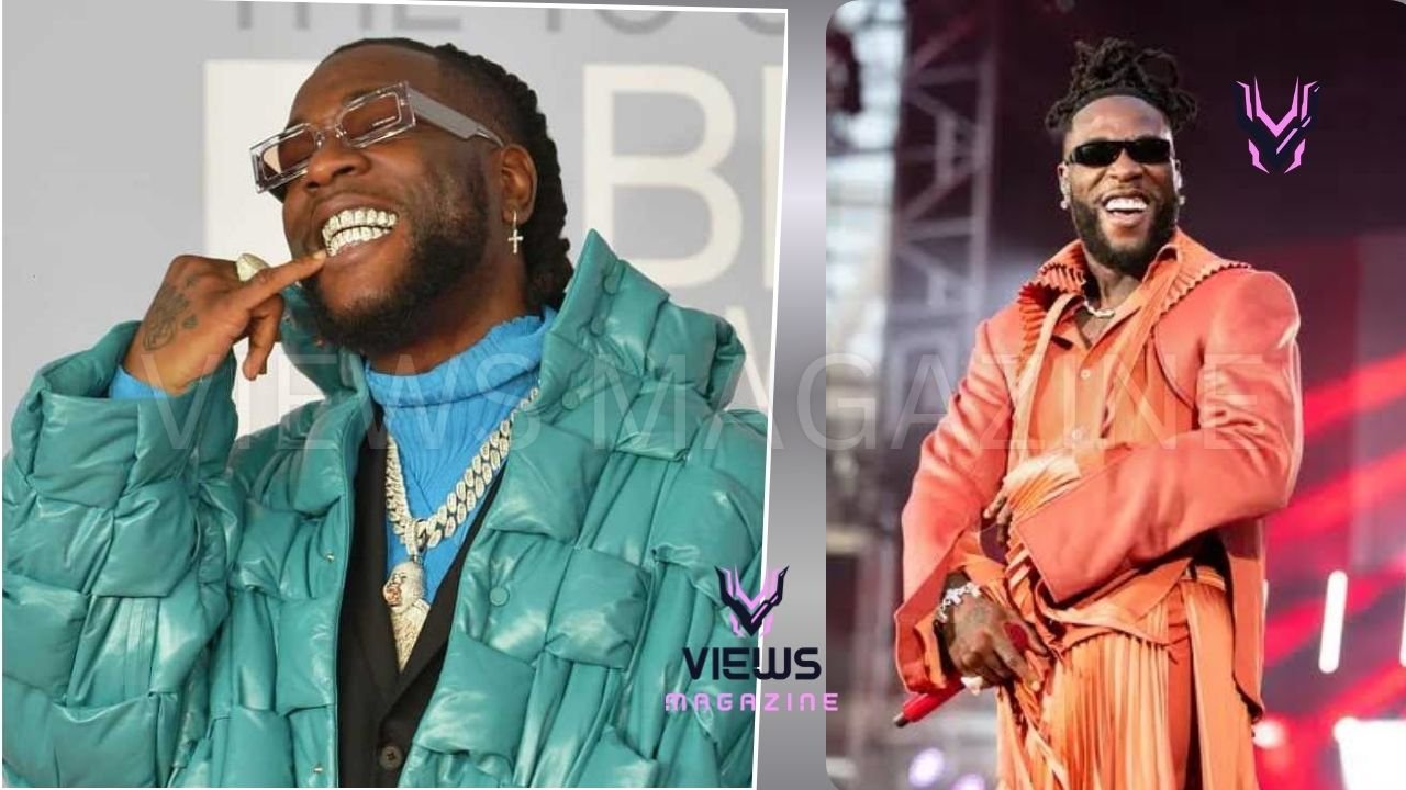 Burna Boy Net Worth